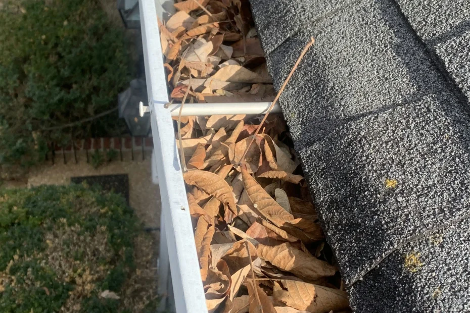 Gutter Cleaning Skokie