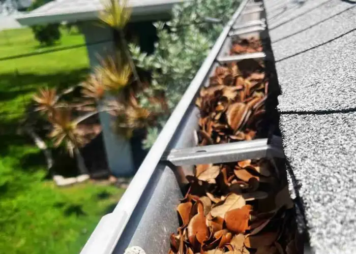 Gutter Cleaning Skokie home page