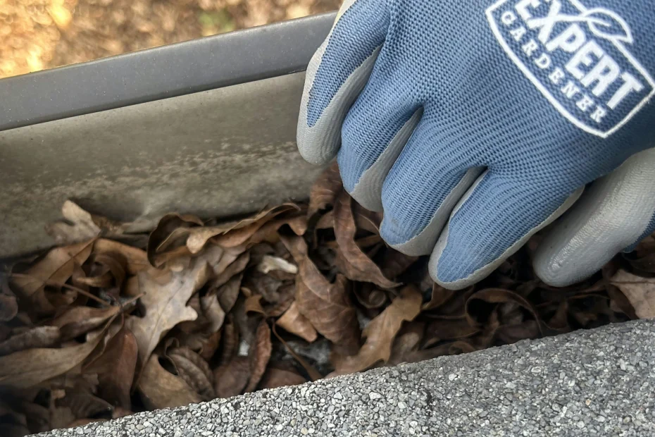 Skokie Gutter Cleaning