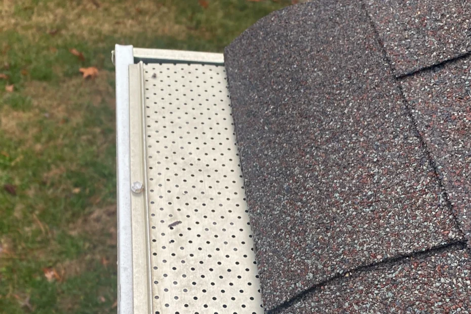 Skokie Gutter Cleaning